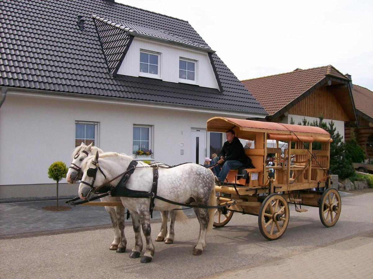 Gastehaus „Haus Am Hahnenberg“ Bed & Breakfast Marmagen Luaran gambar